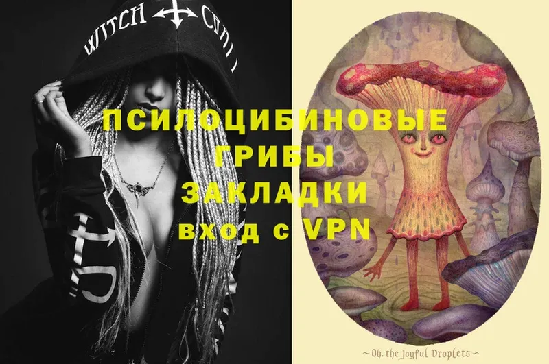 Галлюциногенные грибы Psilocybe  Высоцк 